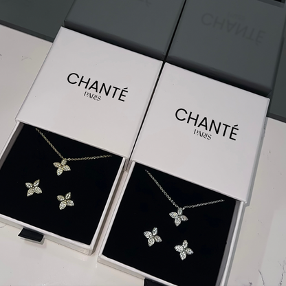 Set Daisy | Plata